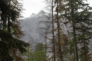 Through the trees the granite peaks played in the mist.